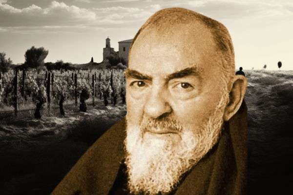 Il Vino Pugliese di Padre Pio